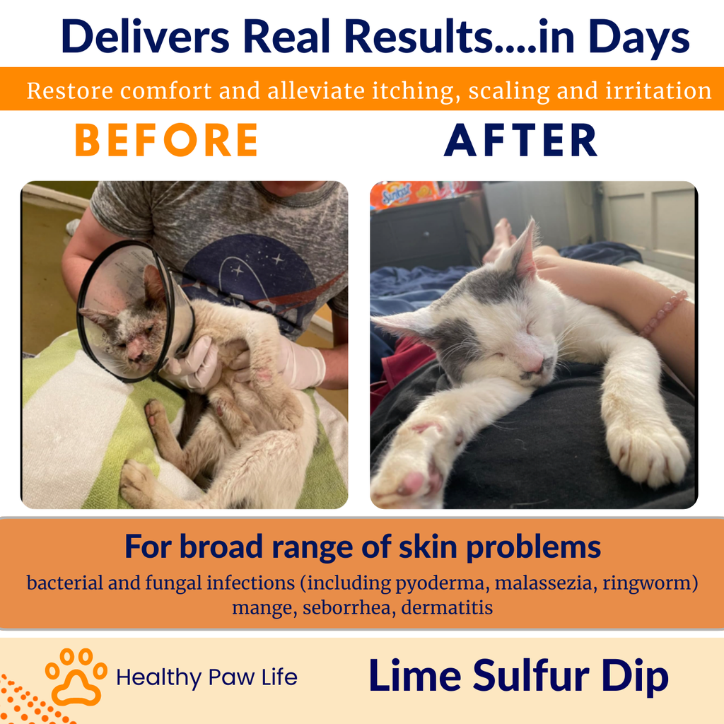 Lime Sulfur Dip – Concentrated Sulfur Solution for Itchy Skin, Mange, Ringworm & Dermatitis – Safe for Dogs, Cats, Horses, and Livestock