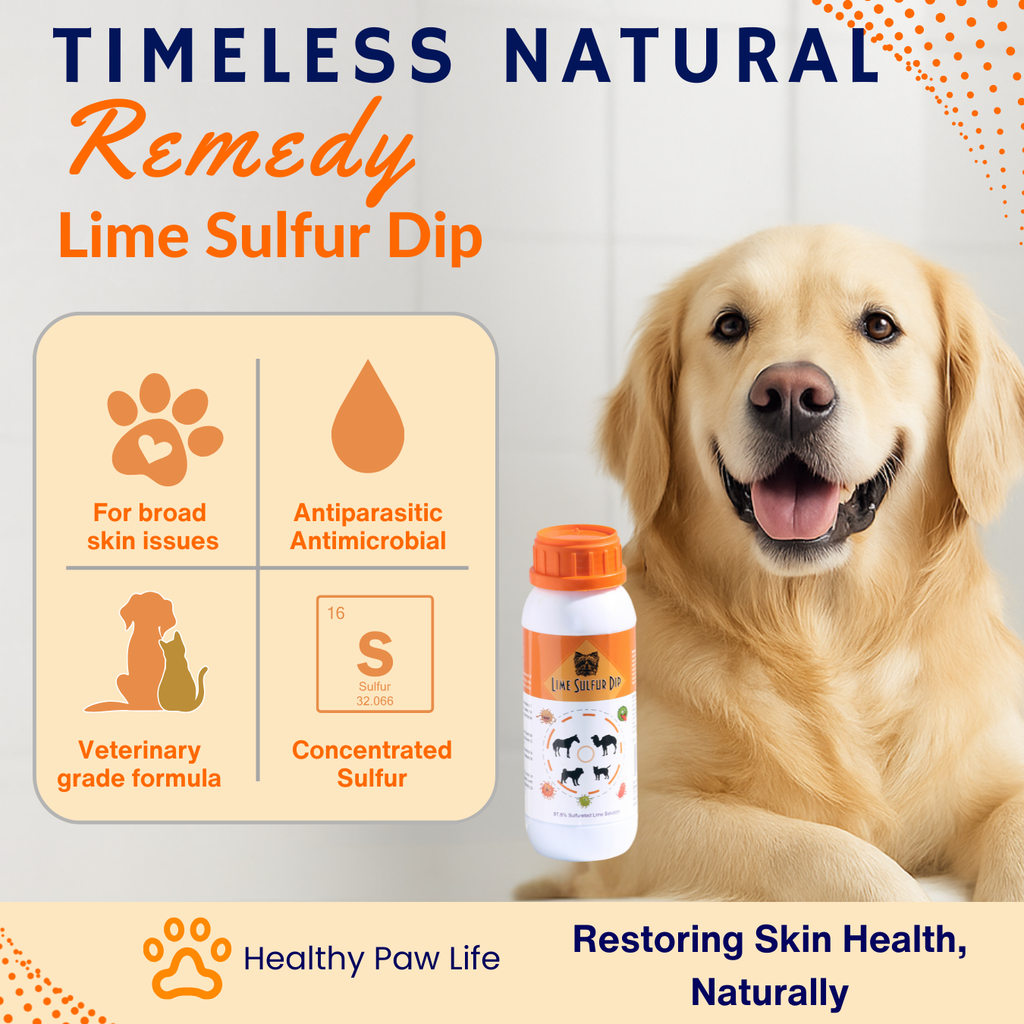 Lime Sulfur Dip – Concentrated Sulfur Solution for Itchy Skin, Mange, Ringworm & Dermatitis – Safe for Dogs, Cats, Horses, and Livestock