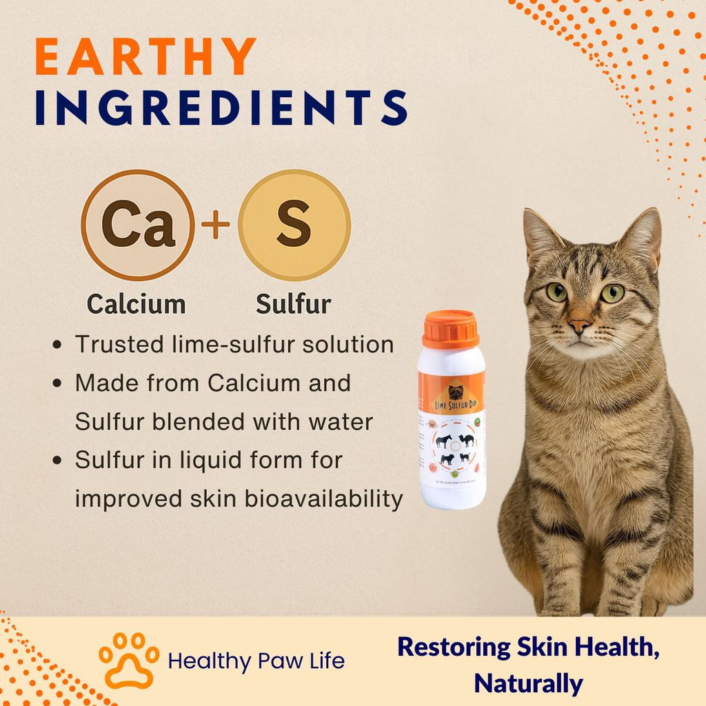 Lime Sulfur Dip – Concentrated Sulfur Solution for Itchy Skin, Mange, Ringworm & Dermatitis – Safe for Dogs, Cats, Horses, and Livestock