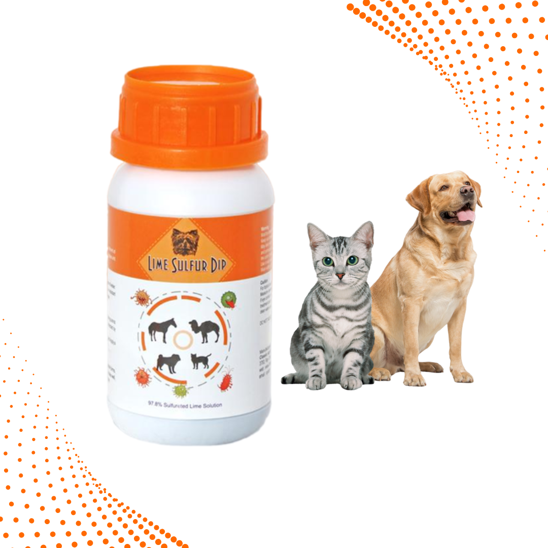 Lime Sulfur Dip – Concentrated Sulfur Solution for Itchy Skin, Mange, Ringworm & Dermatitis – Safe for Dogs, Cats, Horses, and Livestock