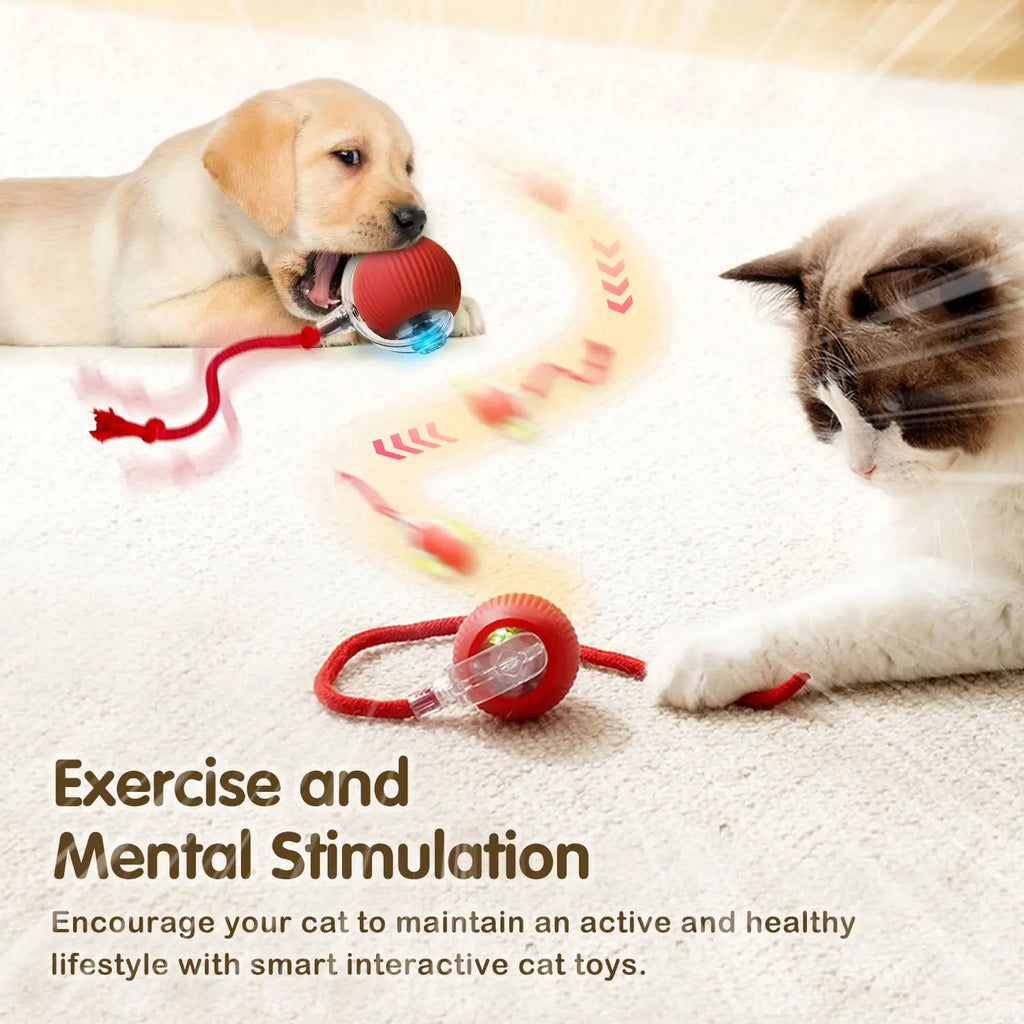 Cat Interactive Ball Toy, Automatic Rolling Ball with Tail, Rechargeable Smart Pet Interactive Toy, Intelligent Mouse for Cat